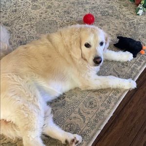 Meet your Posher, Jan